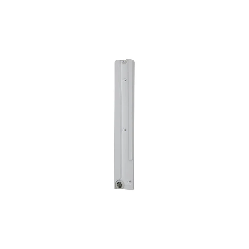 Rail da Gaveta do Frigorífico Haier - 49056453